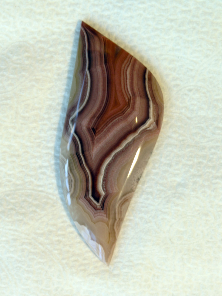 Traded Laguna Agate 140T  :  Another of the Tans you don't see enough of.  This one has a beautiful White line to draw contrast to the darker Red tones in the center.