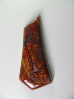 Traded Laguna Plume Agate 129T  :  A beautiful multi colored Plume from the classic Laguna beds in Mexico.  A glassy polish with no undercutting in the plumes