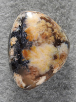 Singleton Bouquet Agate 1575 : What a bright Bouquet in this freeform cab of Singleton Plume