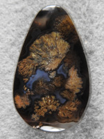 Singleton Bouquet Agate 1579 : Another cab from the Mesa on Singleton with some nice rich Browns.