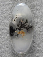 Singleton Plume Agate 1546 A perfect ellipse cab with a single plume positioned in the center.  You can imagine the necklace with this stone in it. maybe rotated counter clockwise so plume aims up.