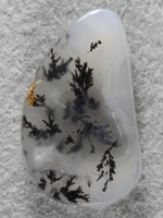 Singleton Plume Agate 1552 : Almost a jellybean of lovely plume agate