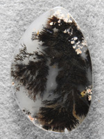 Singleton Plume Agate 1553 : A large cut but what a magnificent plume spray to capture.  Singleton at it's best.