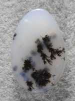 Singleton Plume Agate 1562 : Lovely Black plumes coming up from the back in this salt and pepper cab.