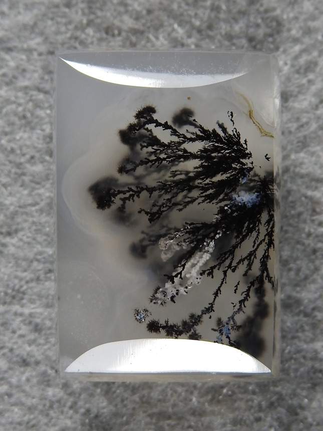 Singleton Plume Agate 1572 : Don't you wish you had found this little beauty?  I have spent a lot of time hunting these on the ranch.