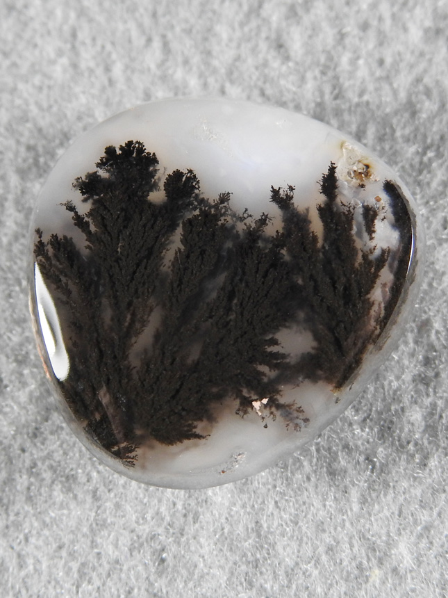 Singleton Plume Agate 1573 : Black Plume freeform.  I have spent many days hunting for plumes here