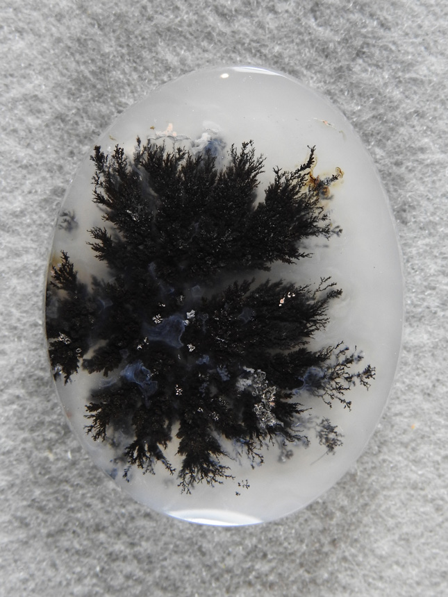 Singleton Plume Agate 2013 : I left the course grit on the back of this cab to frost behind these amazing plumes.