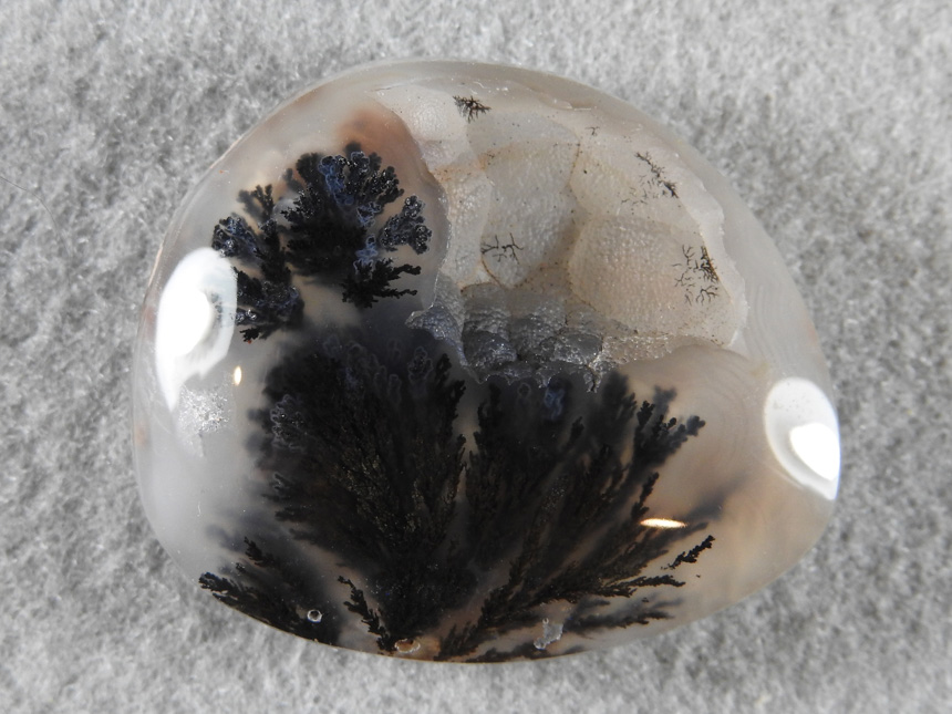 Singleton Plume Agate 2014 : A high dome made from a half nodule leaving the natural bubbly cavity in this gem.