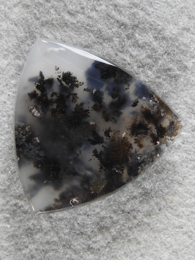 Singleton Plume Agate 2015 : Lots of plumes in this trillion cut.