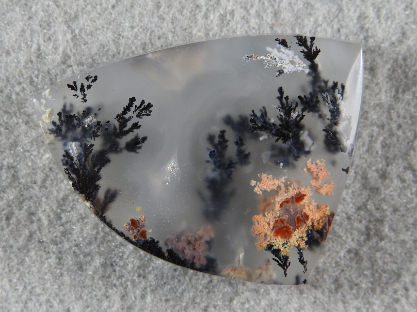 Singleton Plume Agate 2018 : Textbook plumes like a seaweed forest make this cab a gem.