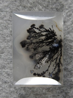 Singleton Plume Agate 1572 : Don't you wish you had found this little beauty?  I have spent a lot of time hunting these on the ranch.