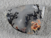 Singleton Plume Agate 2018 : Textbook plumes like a seaweed forest make this cab a gem.