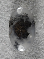 Singleton Plume Agate 2023 : I isolated a single plume to center this stone. A perfect ring or pendant stone.