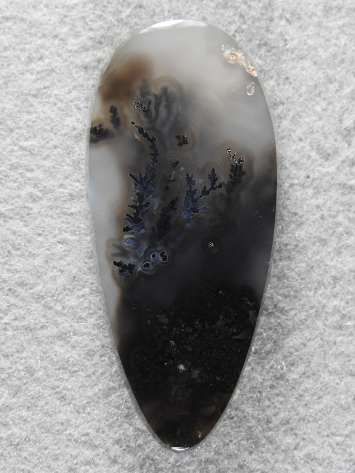 Singleton Plume Agate 1551 : A very long teardrop cab with the Gray and Black plumes rising out of tyhe dark base. So pretty.