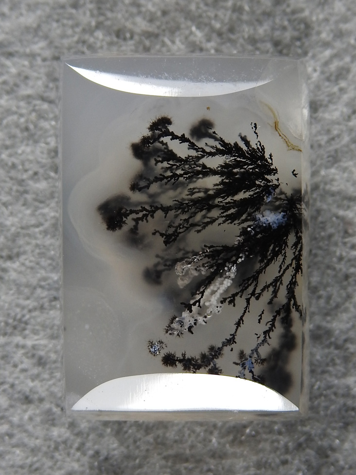 Singleton Plume Agate 1572 : Don't you wish you had found this little beauty?  I have spent a lot of time hunting these on the ranch.