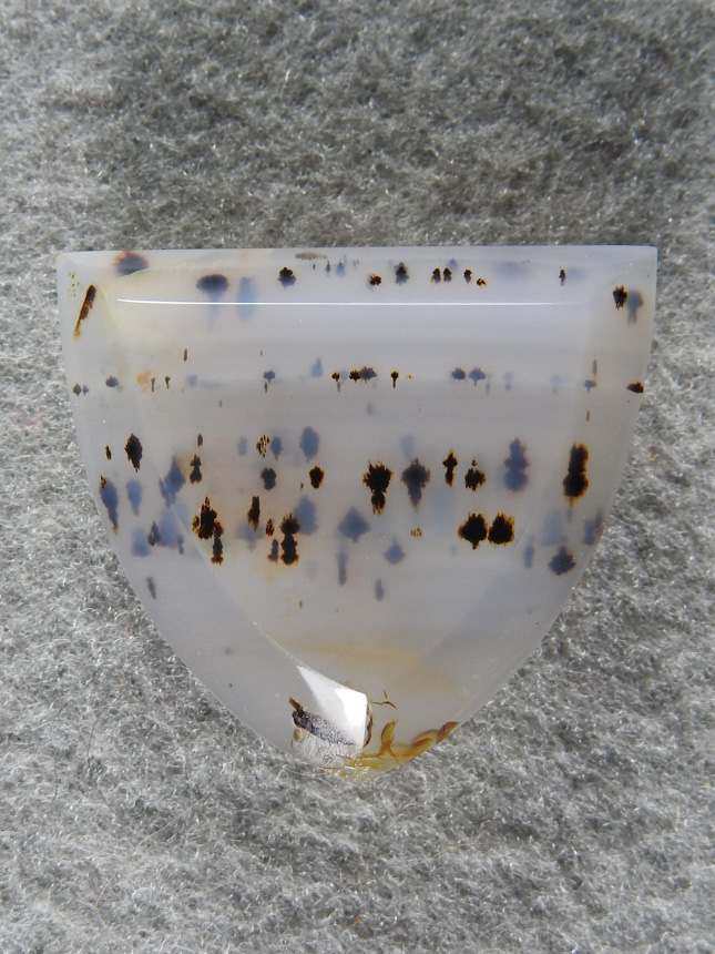 Montana Agate 1851 : Dots everywhere in this wide badge of Montana.