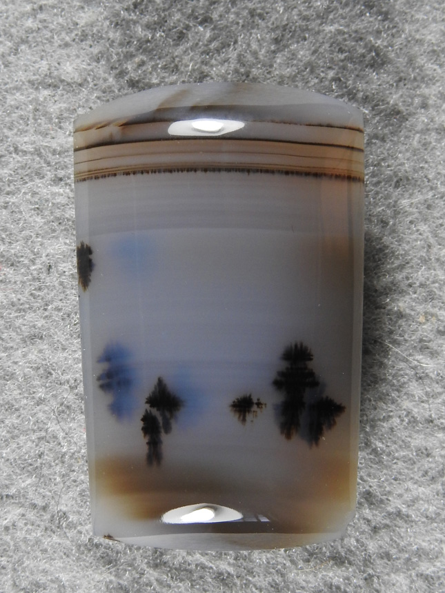 Montana Agate 462  :  A couple of Dendrite  waterlines at the top and some impressive tall Dendrites at the base in a darker Agate.  A very visually Stunning stone.