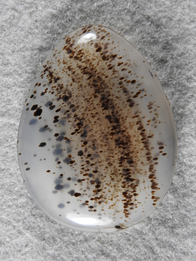 Montana Agate 467  :  Water clear Montana Dendritic Agate is always a treat to cut when it is fracture free.  This shape was a given with the sweep of the dendrites.