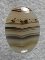 Montana Agate 2163 : Very pretty with bands and dendrites.