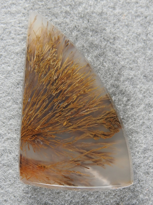 Nipomo Sagenite Agate 1519 : I love collecting in Nipomo. What a nice sagenite spray in this Nipomo!