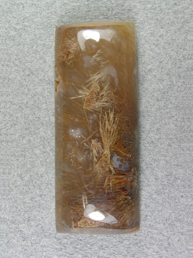 Nipomo Sagenite Agate 822  :  A nice large Sagenite Agate with tons of needles floating in a golden Agate.