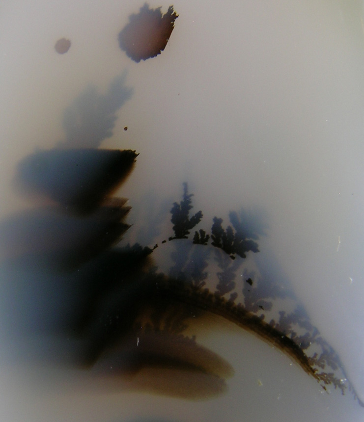 Nipomo Dentritic Agate closeup  :  Close up of CAB 1934