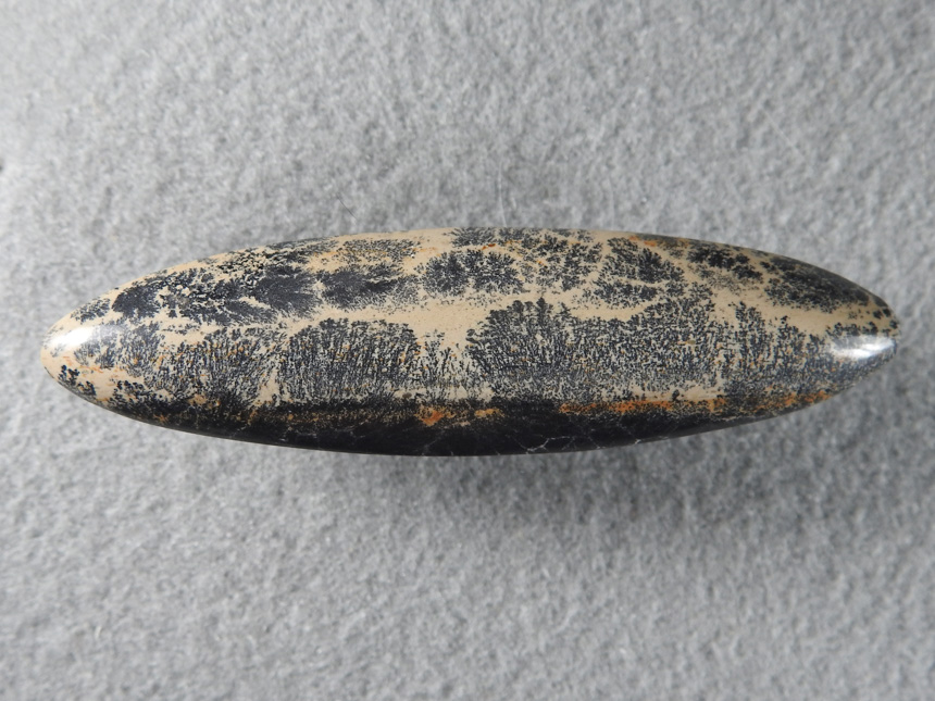 Nipomo Jasper 804  :  Some pretty Dendritic Jasper, I found this piece in the bean fields of Nipomo but is the only piece like it I have found.