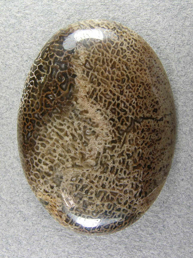 Nipomo Whale Bone 830  :  I call it Whale but most of the Agatized bones I have found in the Bean fields are smaller so who knows.  Highly translucent the light just flows thru this large cab.