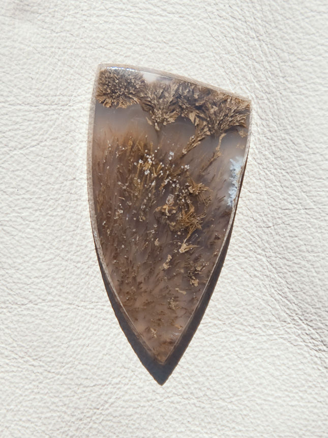 Traded Nipomo Sagenite Agate 1339T  :  description