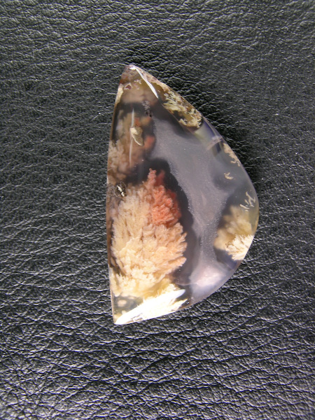 Caneros Ranch Plume 836  :  A small broken section of a slab had this plume spray and it made a great little stone for a necklace.
