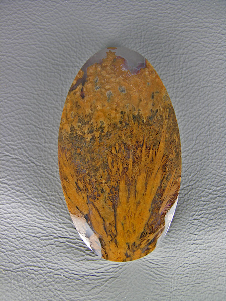 Mexican Sagenite Agate 1382