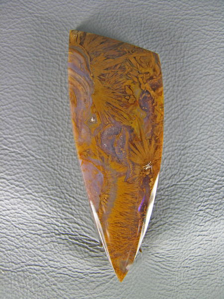 Mexican Sagenite Agate 1387