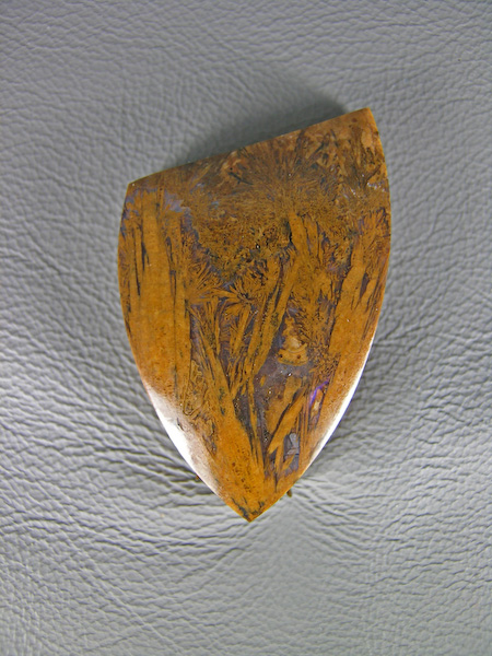 Mexican Sagenite Agate 1388
