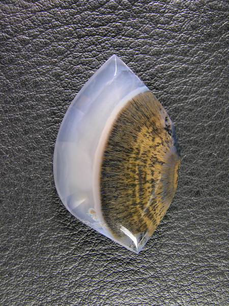 Mexican Sagenite Agate 842  :  A solid spray of Sagenite can be a hard cut but orienting the stone to play the contrast with the clear made a gemmy little beauty.