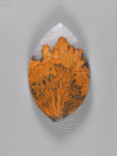 Traded Mexican Sagenite Agate 1437T