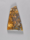 Traded Mexican Sagenite Agate 1444T