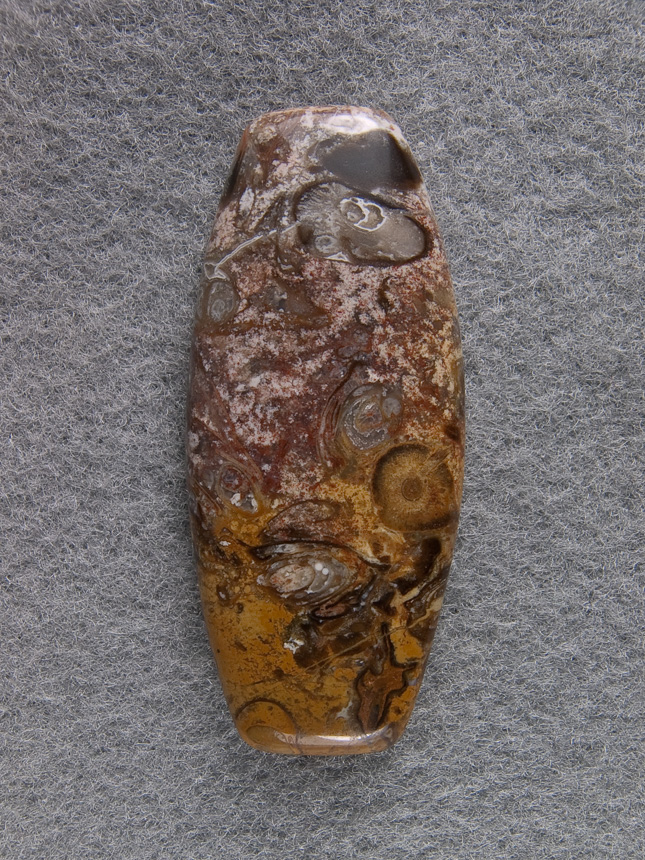 Palm Root Agate 1262  :  description