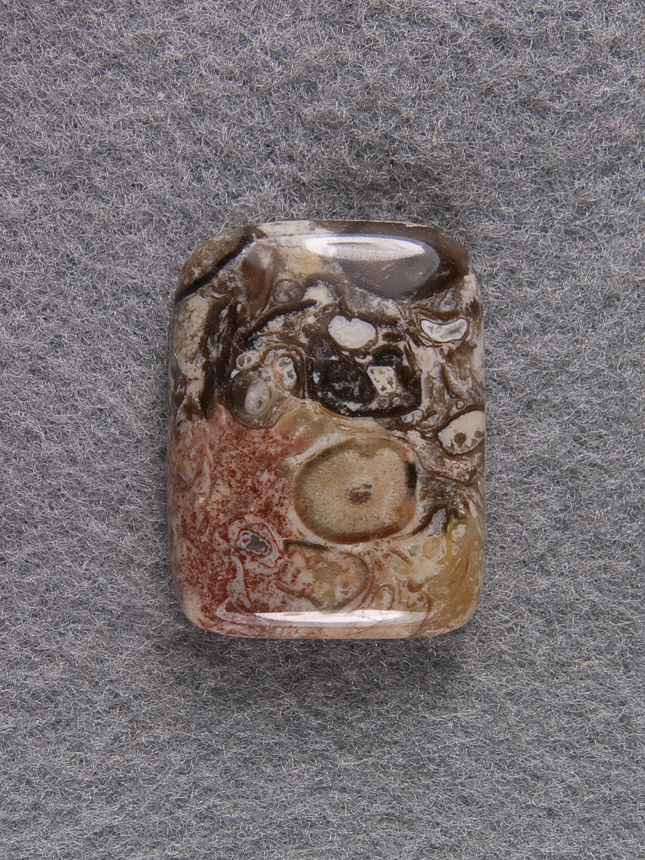 Palm Root Agate 1263  :  description