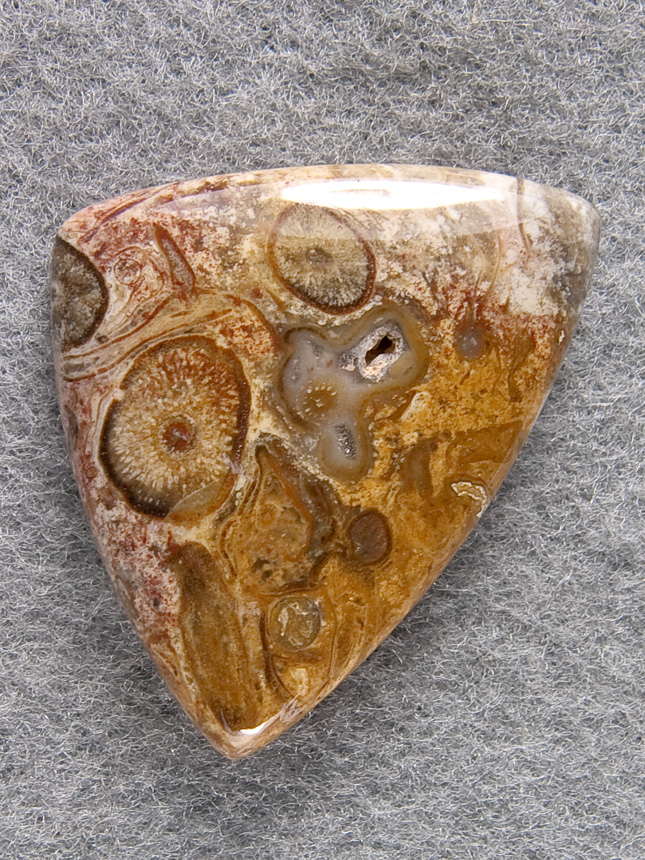 Palm Root Agate 1267  :  description