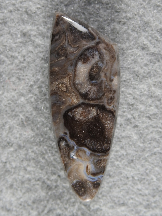 Petrified Palm Root 1603 : getting harder to find any Palm Root.  It cuts such distinctive cabs.  This I collected North of Last Chance Canyon.