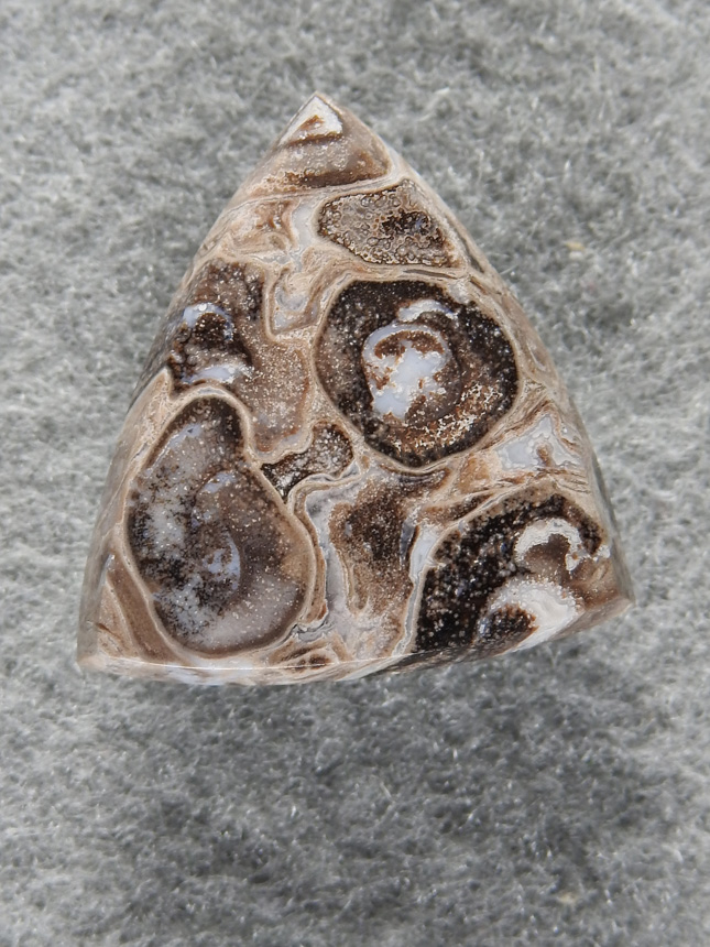 Petrified Palm Root 1608 : getting harder to find any Palm Root.  It cuts such distinctive cabs.  This I collected North of Last Chance Canyon.