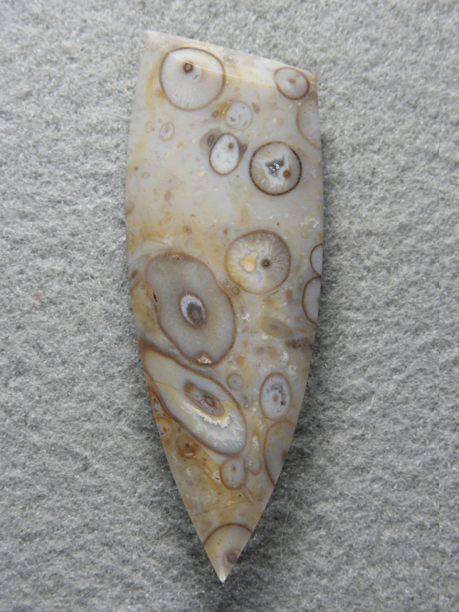 Palm Root Agate 848  :  Floating in a Tan Agate these Roots are beautifully replaced.  The stone is excellent quality and finish.