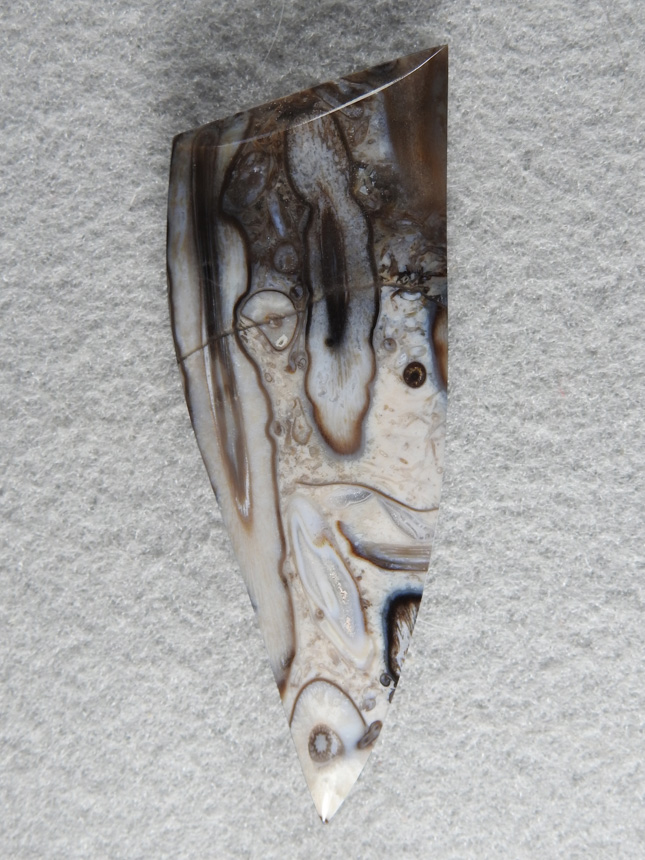 Palm Root Agate 850  :  Nice long roots in a glassy stone.