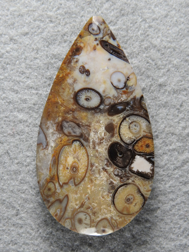 Palm Root Agate 851  :  This is the best stuff.  Multi colored roots in perfect replacement and high contrast.  A spectacular stone.