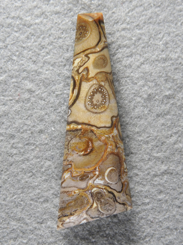 Palm Root Agate 853  :  Wonderful Palm Root!  What a  snapshot of life.  This has perfect replacement so you can see every fiber of the original root structure.  These are great conversation starters.