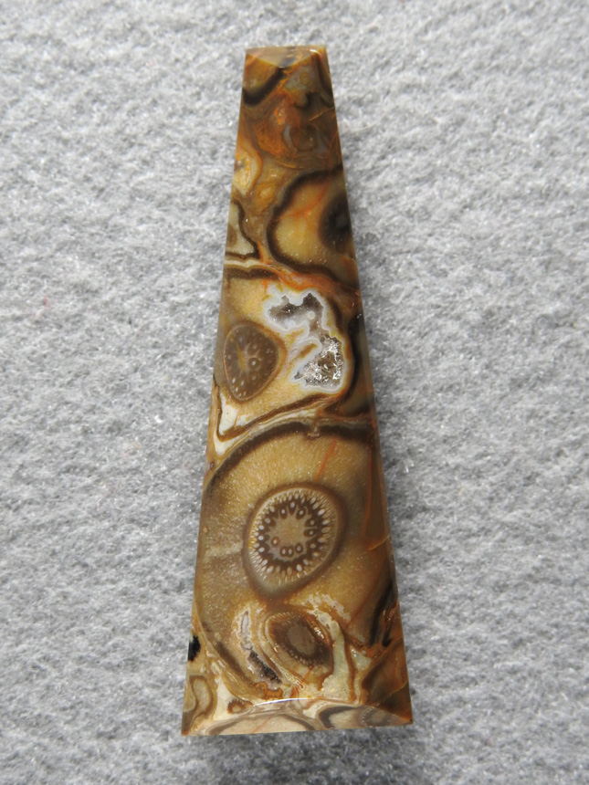 Palm Root Agate 855  :  Just look at the replacement of the original Palm fibers!  An excellent example of Palm Root.