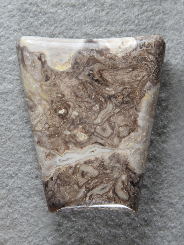 Palm Root Agate 856  :  Palm from north of Last Chance Canyon in a still collectable region.