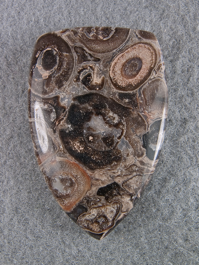 Traded Palm Root Agate 1153T  :  description