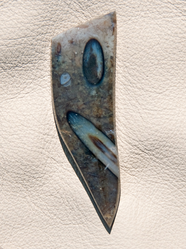 Traded Palm Root Agate 1341T  :  description