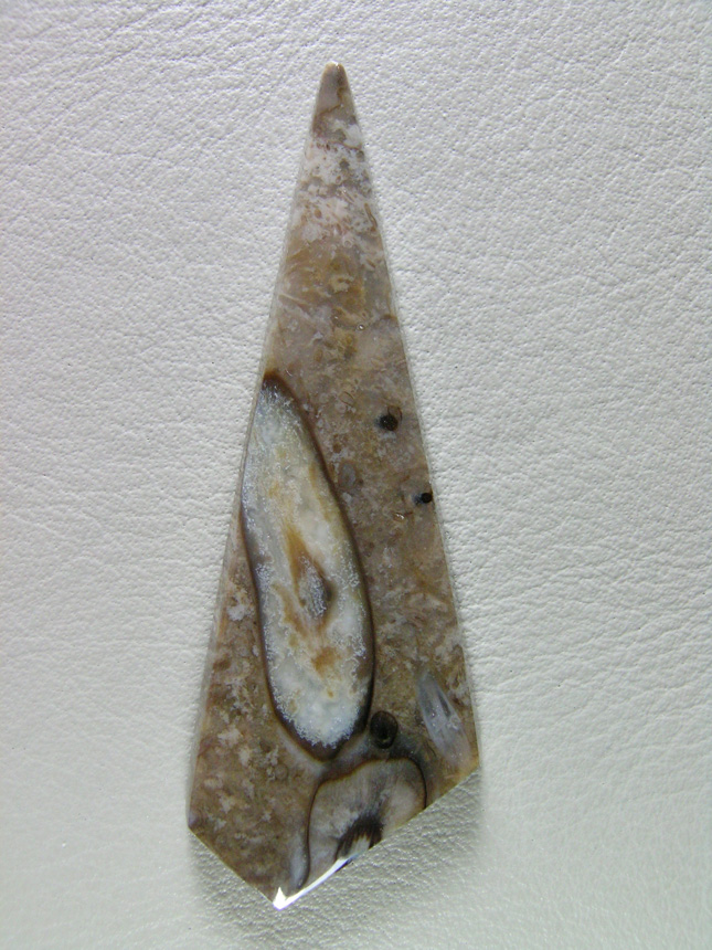 Traded Palm Root Agate 858T  :  A thin cab of lovely Palm Root and a nice elongated root giving taking the stage.